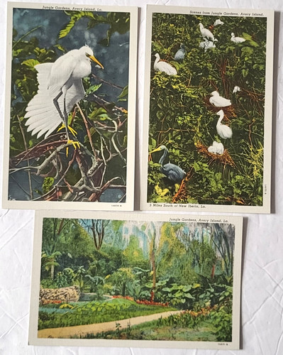 Vedute vintage 1931 - 3,